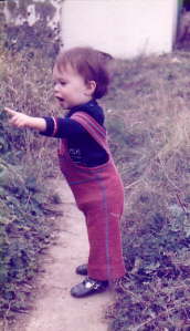 Aged one and a half - admiring the 'flowers'