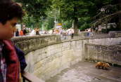 August 1994 - bear pit in Berne